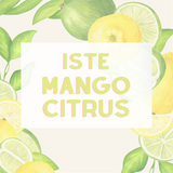 Ekologisk Mango Citrus Lösvikt
